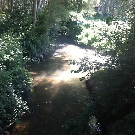 Hospital De Palabras