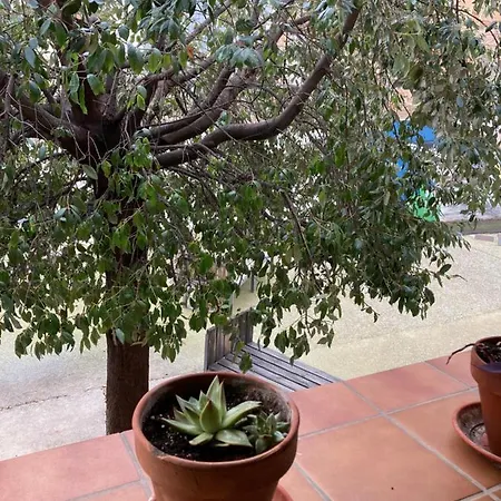 Hospital De Palabras Torrelles