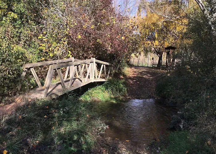 Hospital De Palabras Lantställe
