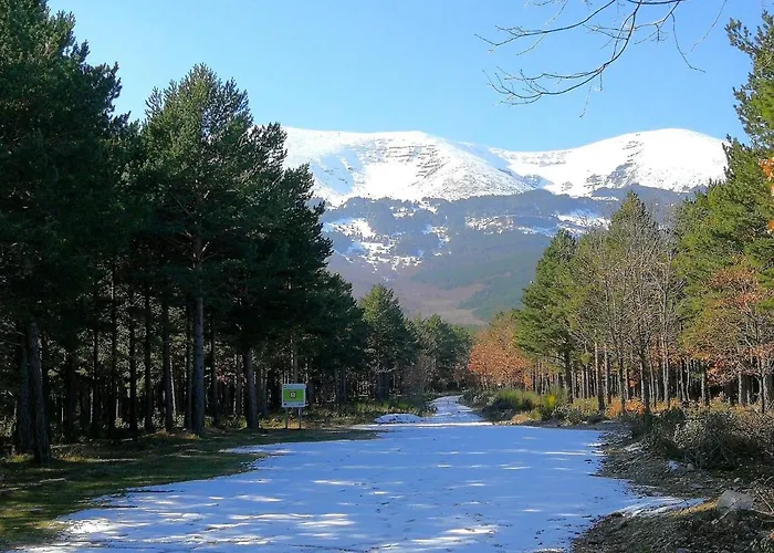 Hospital De Palabras Lantställe *