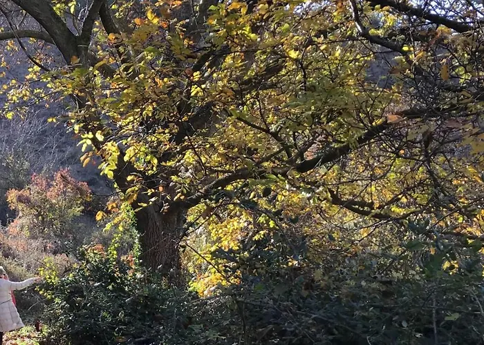 Hospital De Palabras Lantställe *