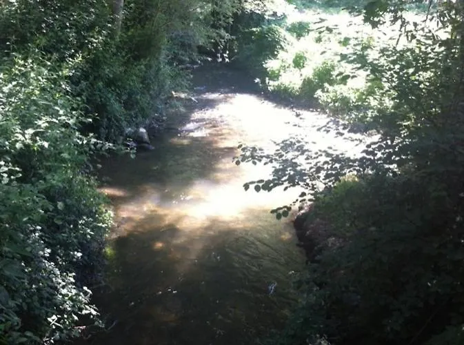 Hospital De Palabras