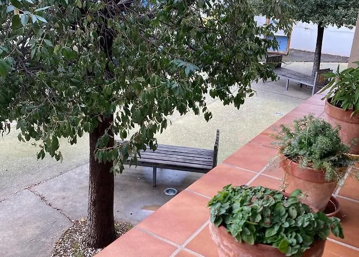 Hospital De Palabras Lantställe *