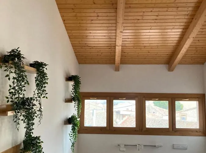 Lantställe Hospital De Palabras Torrelles