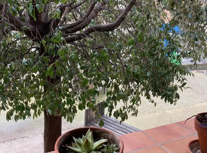 Hospital De Palabras Torrelles